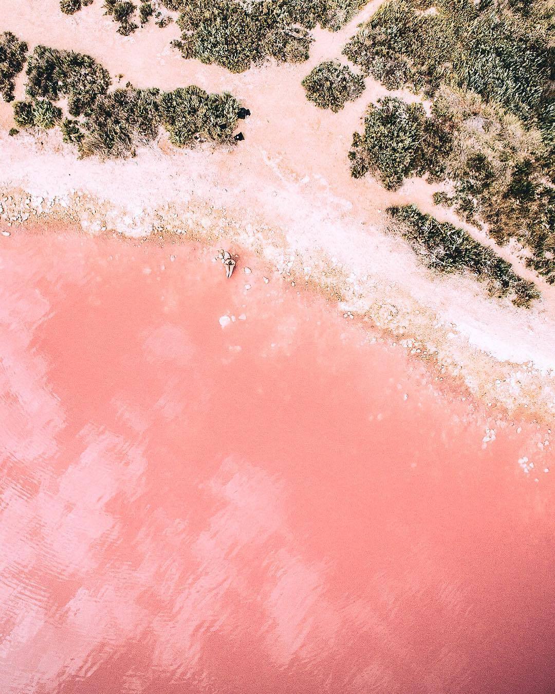 Archillect ID 399323