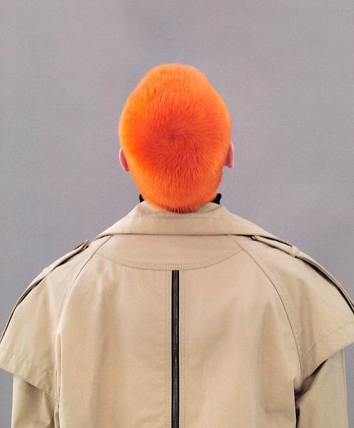 Archillect ID 399353