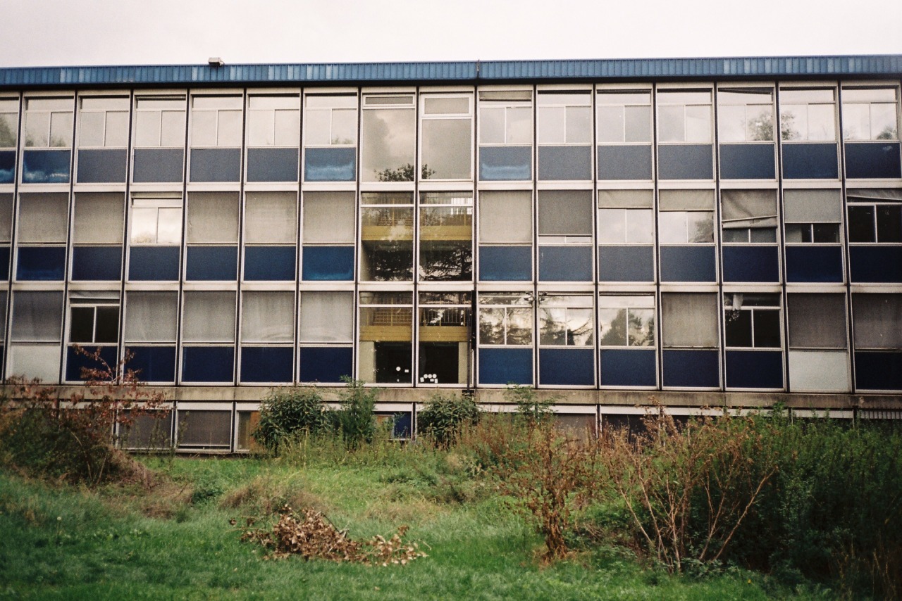 Archillect ID 399417