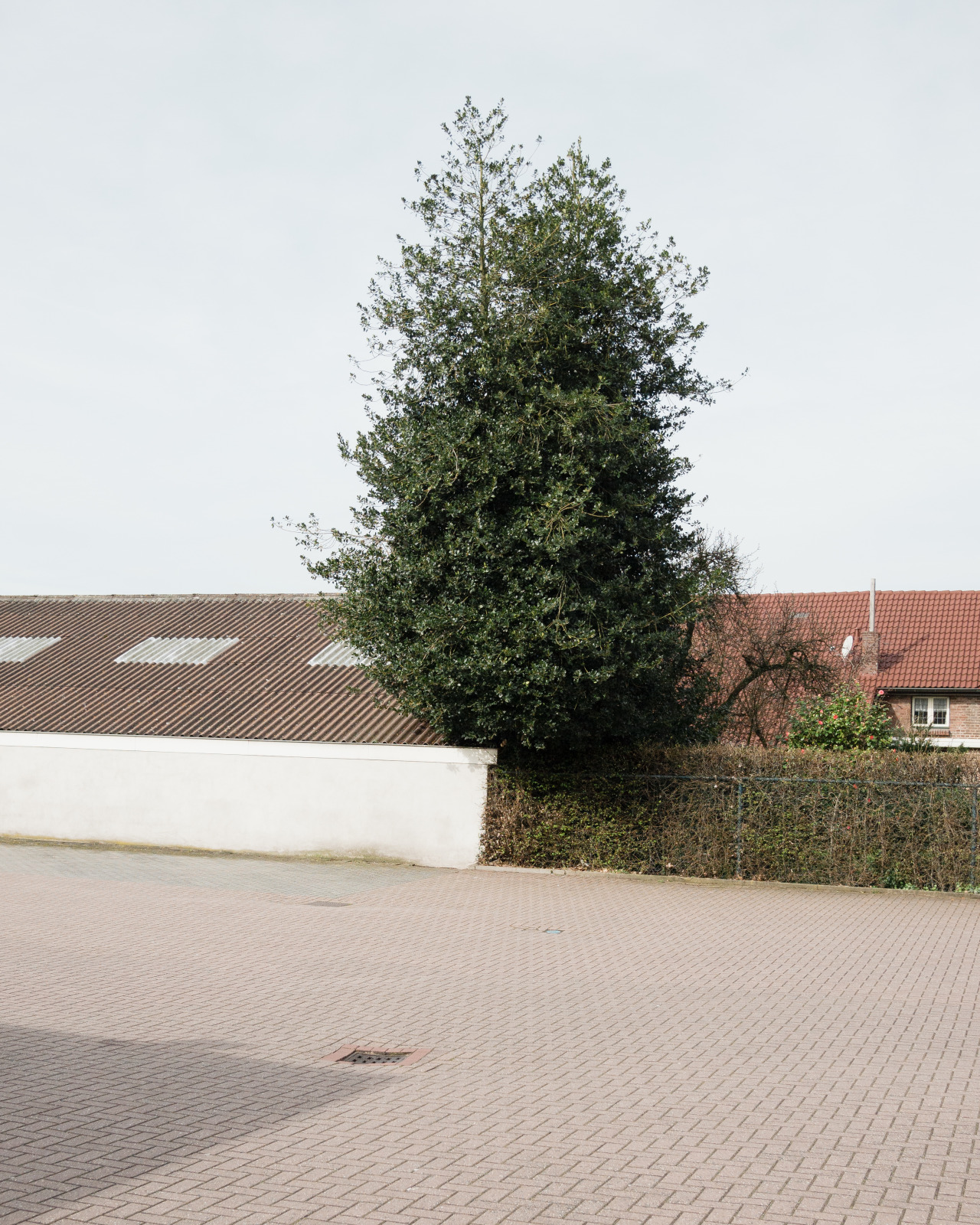 Archillect ID 399468