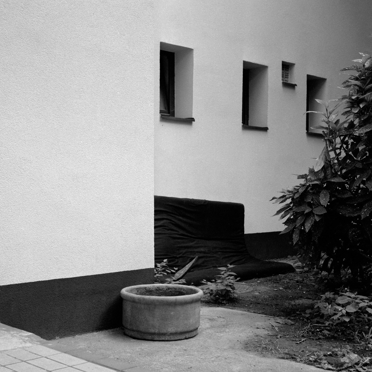 Archillect ID 399555