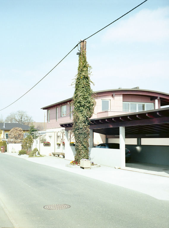 Archillect ID 399594