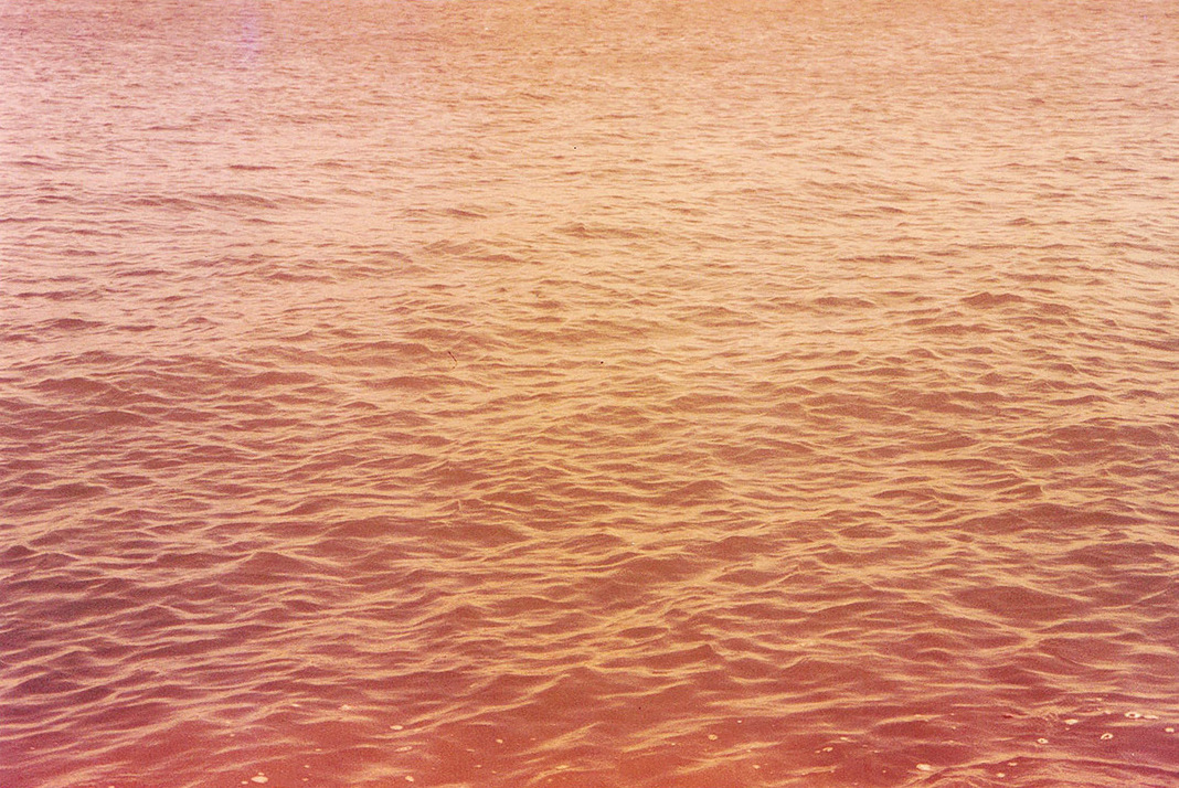 Archillect ID 399607