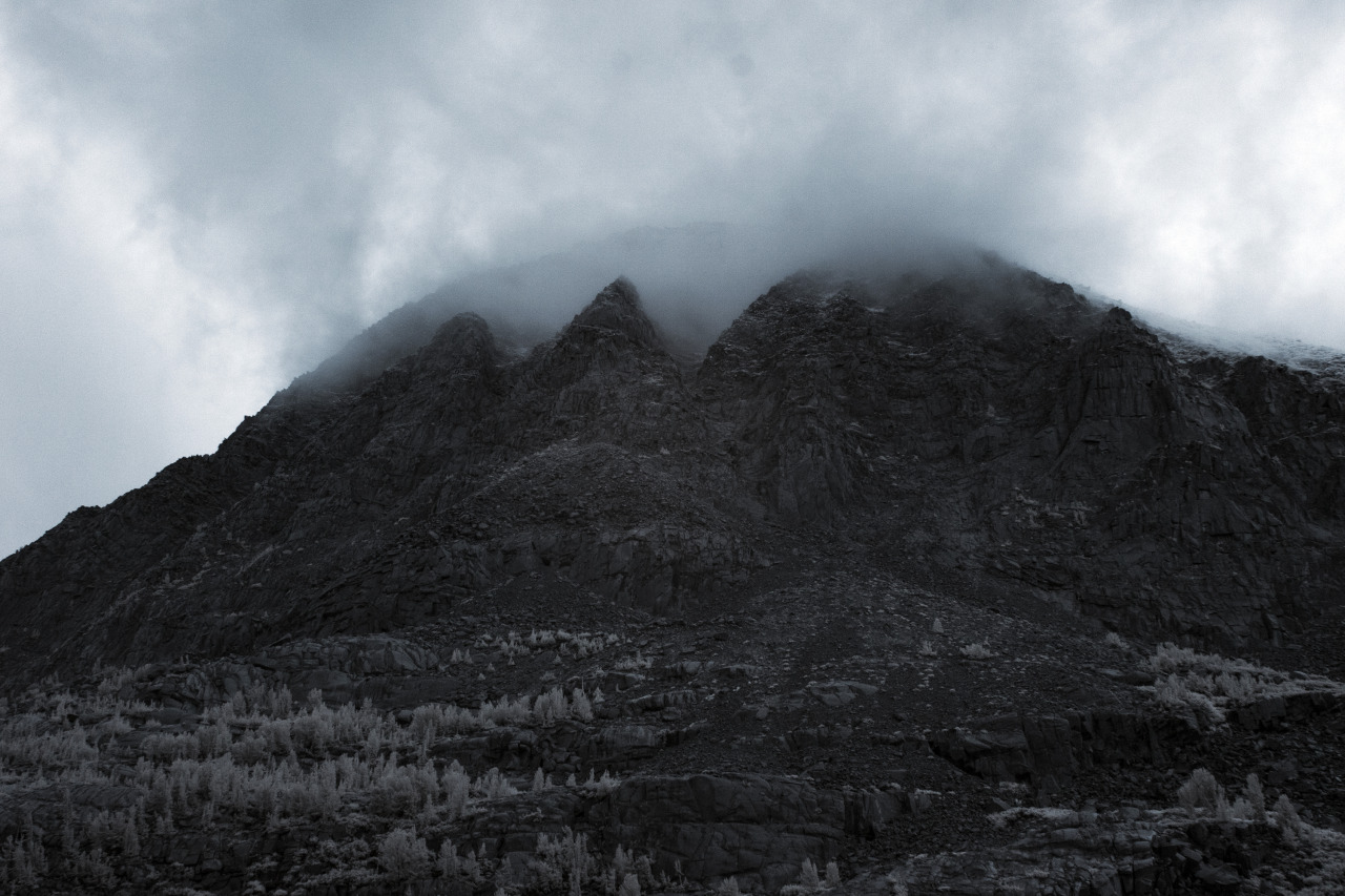 Archillect ID 399612