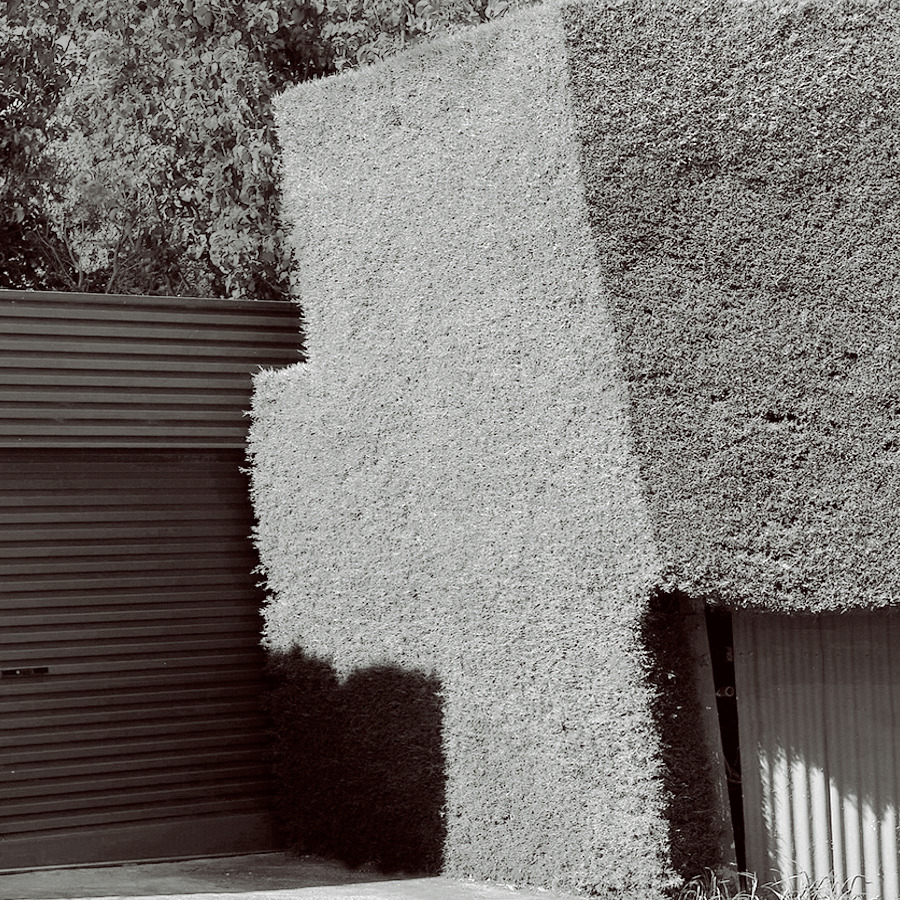 Archillect ID 399704