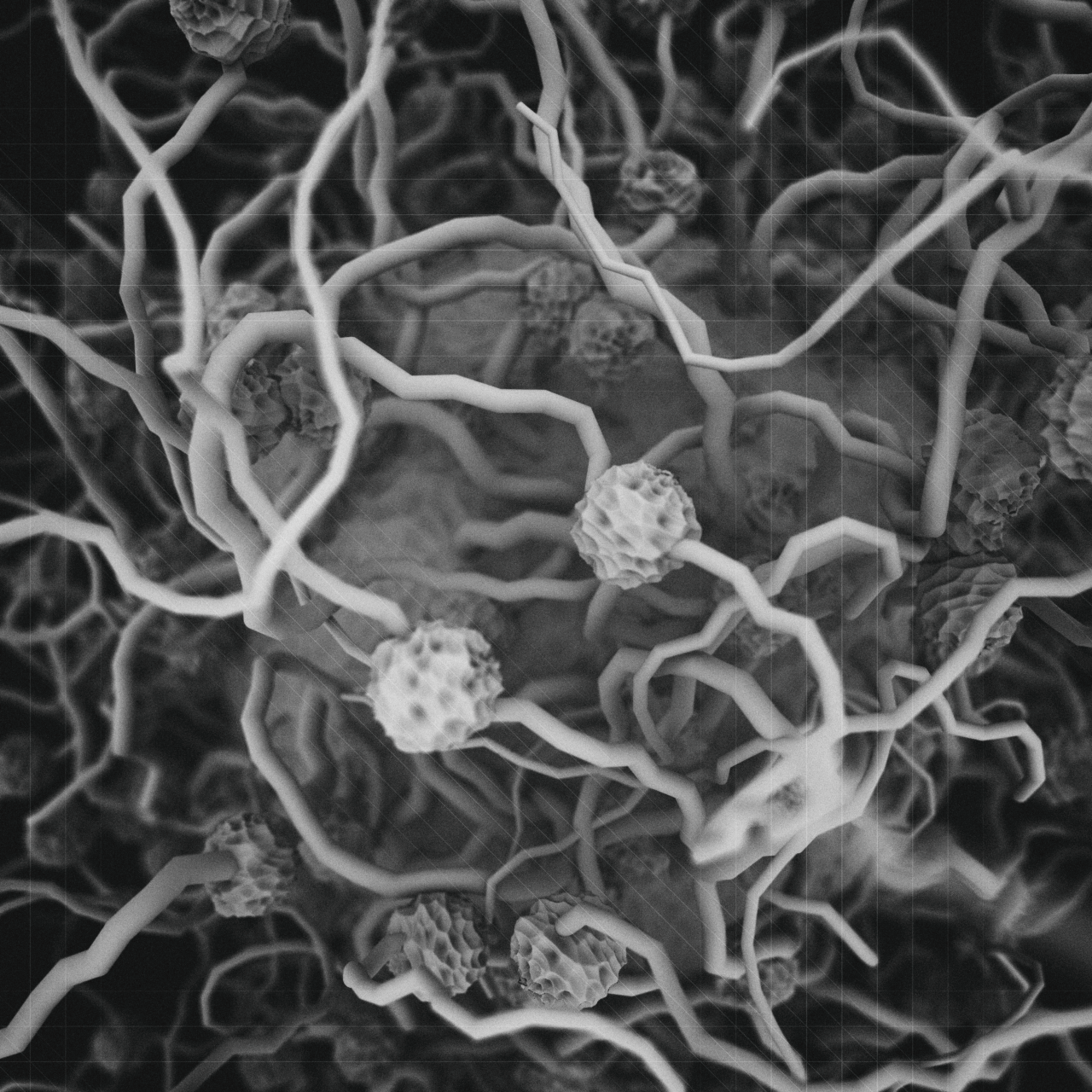 Archillect ID 399705