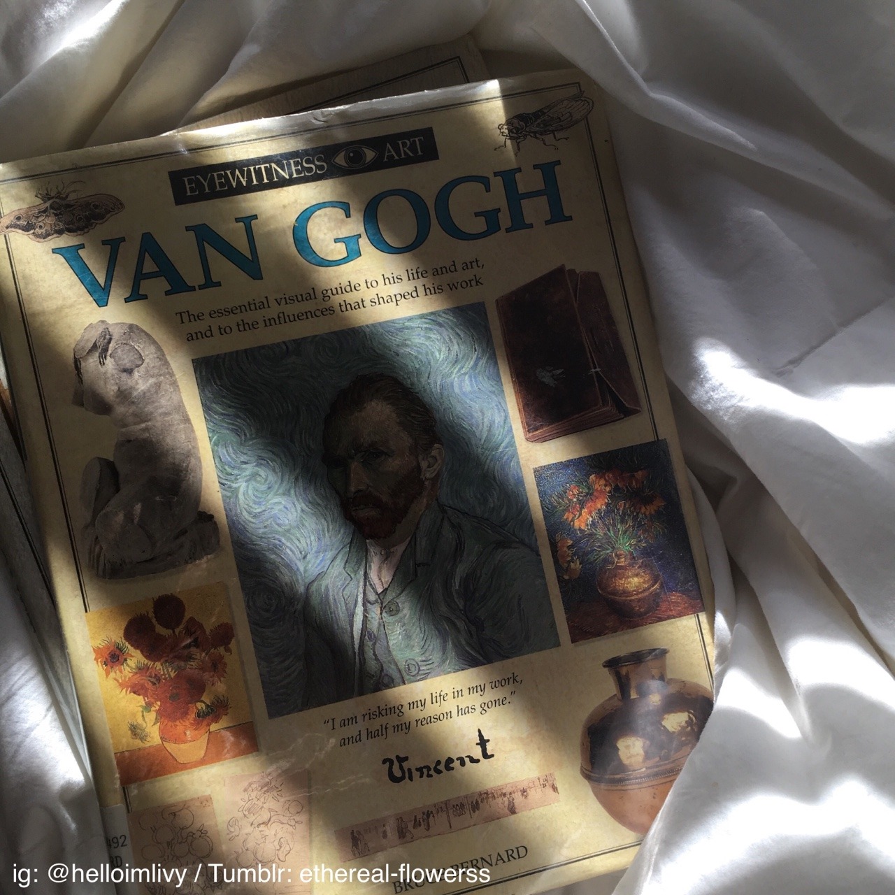 Archillect ID 399712