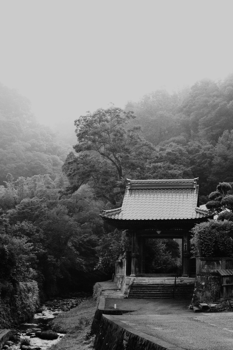 Archillect ID 399722