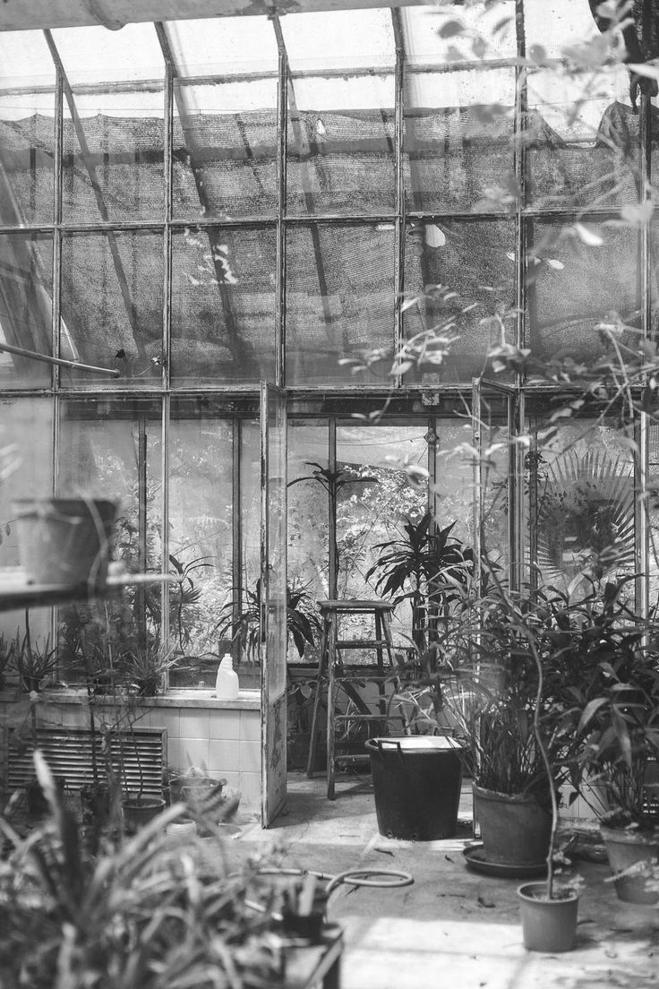 Archillect ID 399774