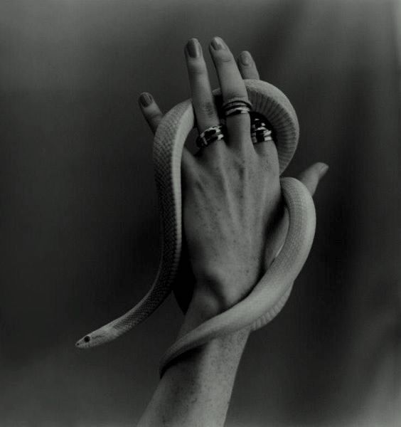 Archillect ID 399795