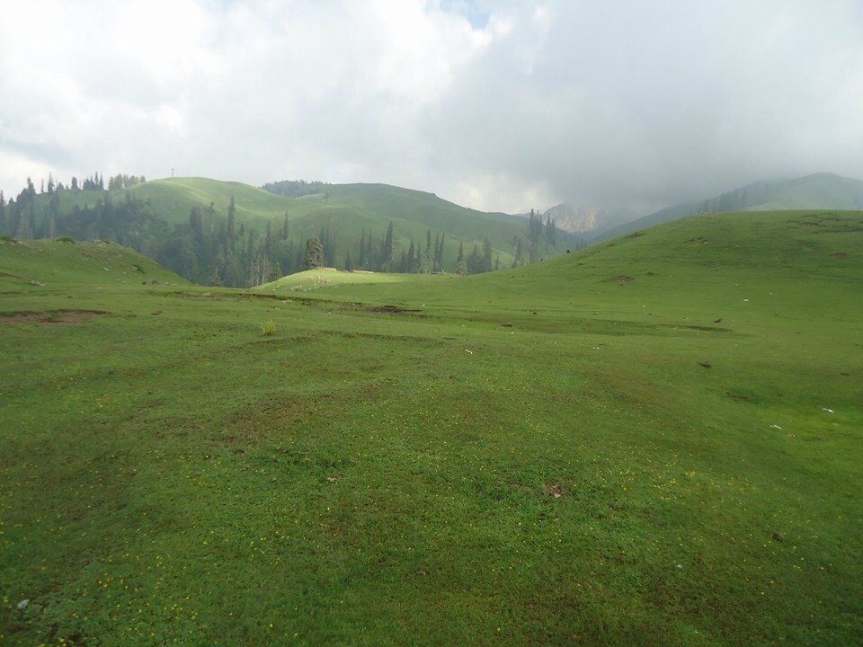 Archillect ID 399813