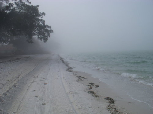 Archillect ID 399983