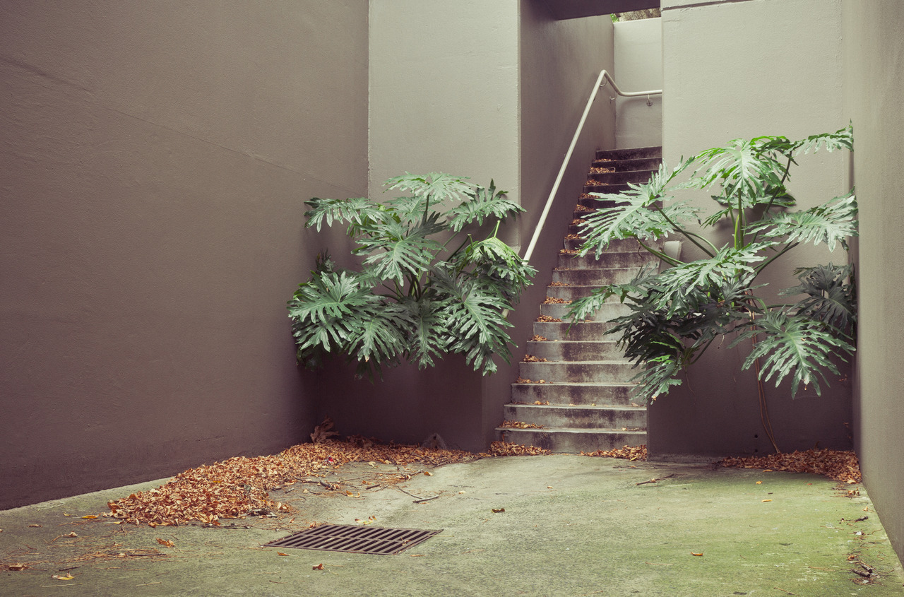 Archillect ID 399988