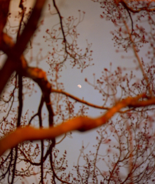 Archillect ID 399992