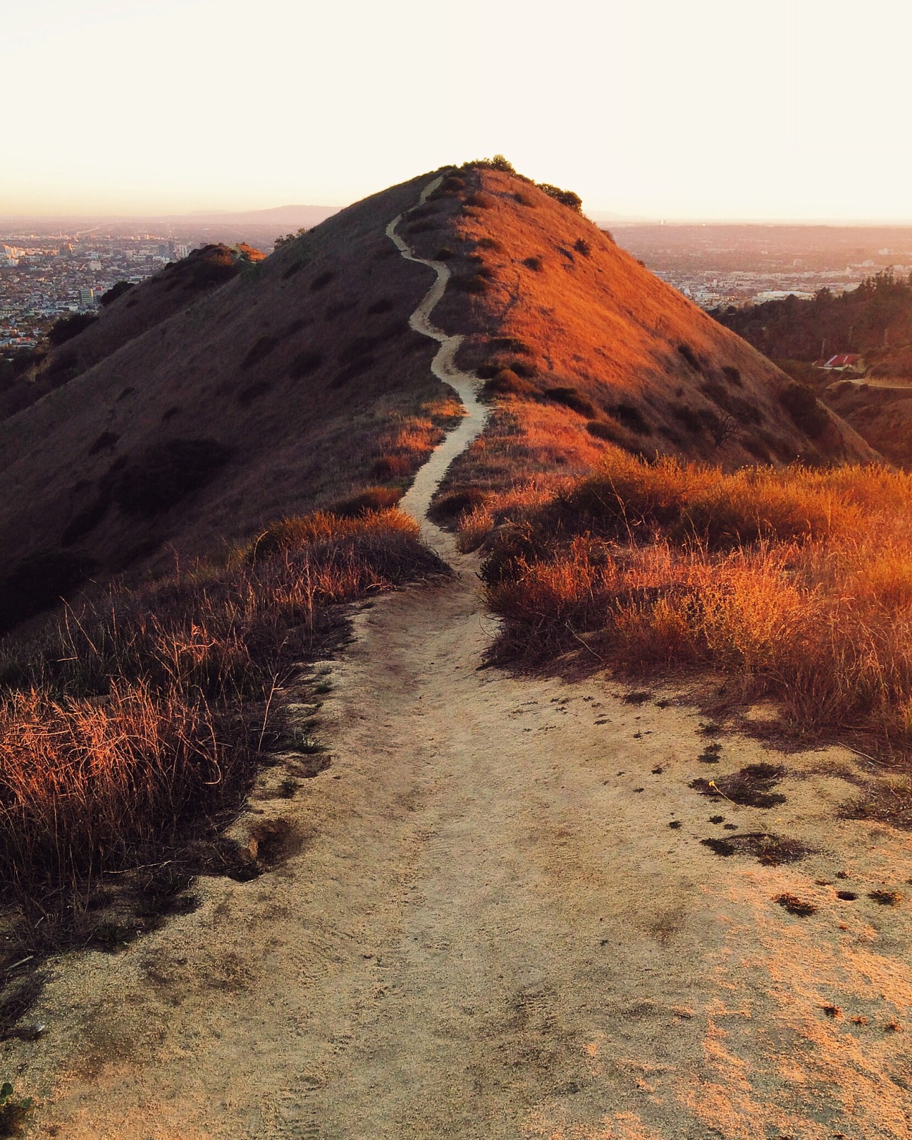 Archillect ID 400088