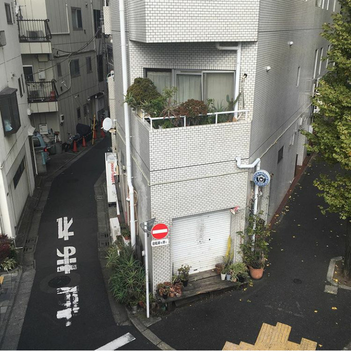 Archillect ID 400097