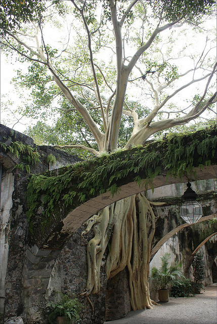 Archillect ID 400134