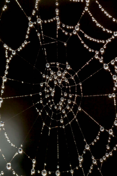 Archillect ID 400159