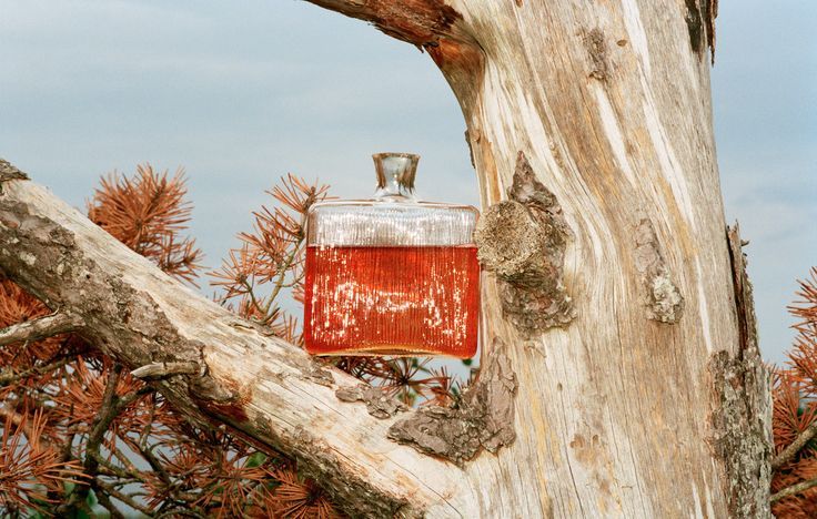 Archillect ID 400172