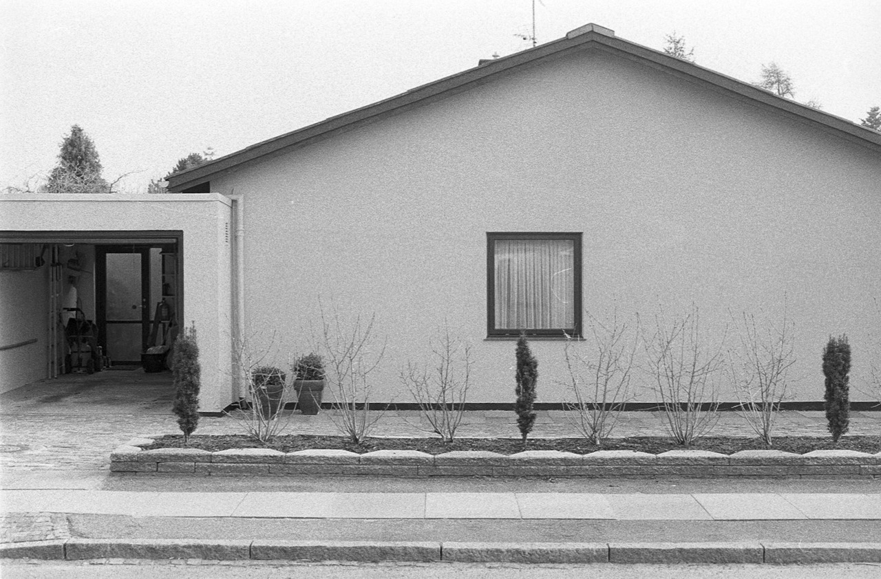 Archillect ID 400232