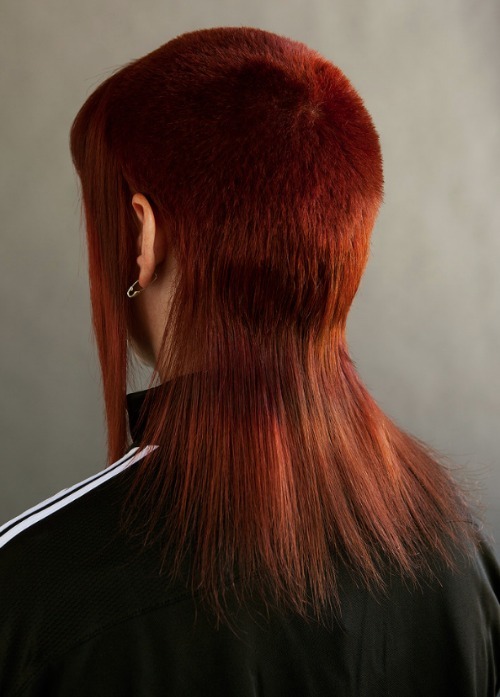 Archillect ID 400300