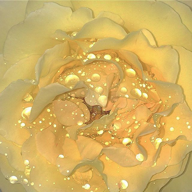 Archillect ID 400310