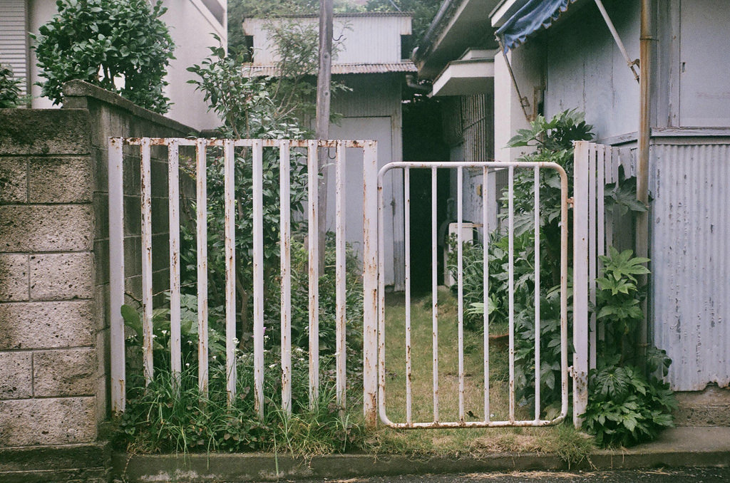 Archillect ID 400320