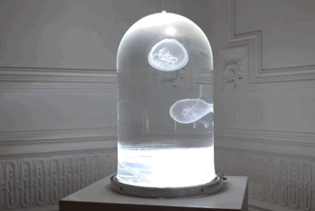 Archillect ID 400430