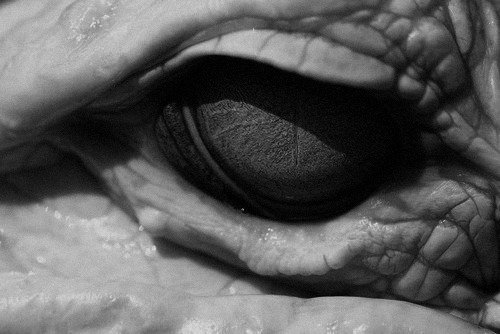 Archillect ID 400444