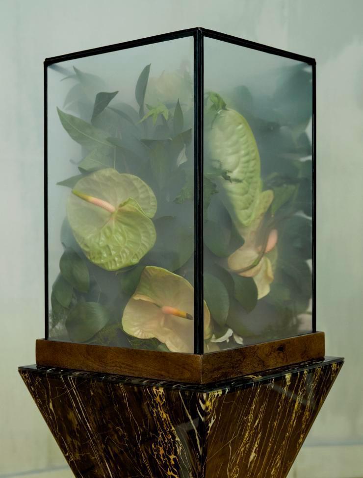 Archillect ID 400538