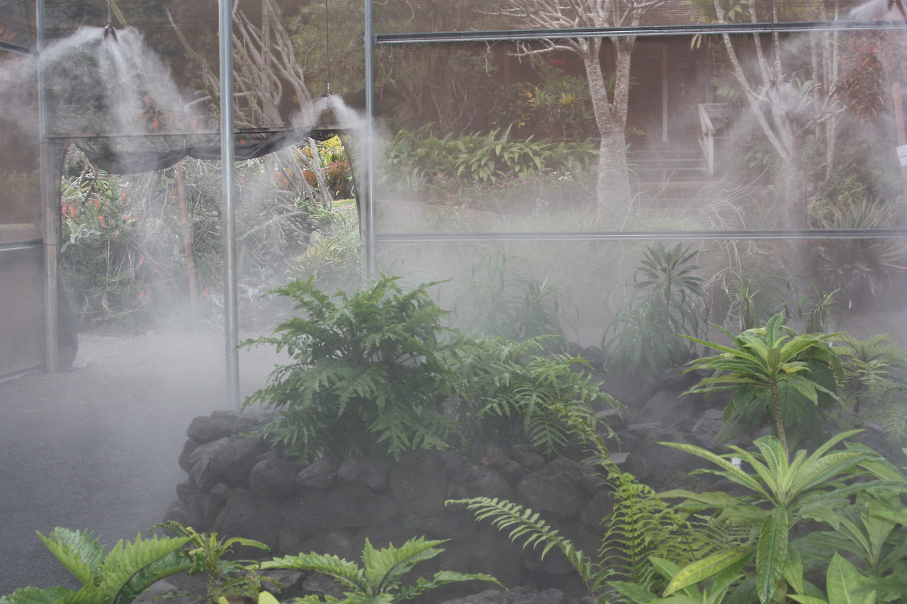 Archillect ID 400554