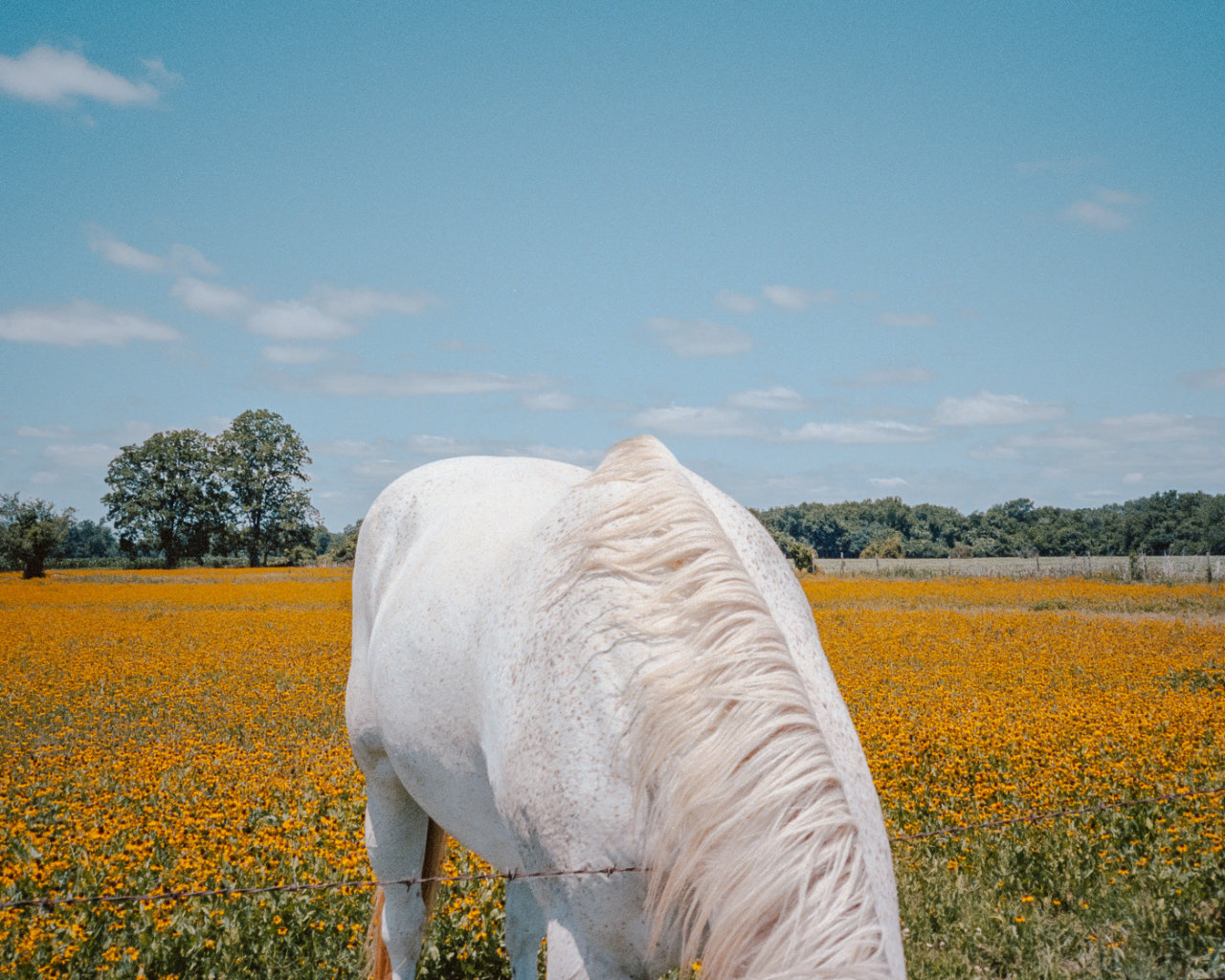 Archillect ID 400567