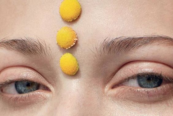 Archillect ID 400637