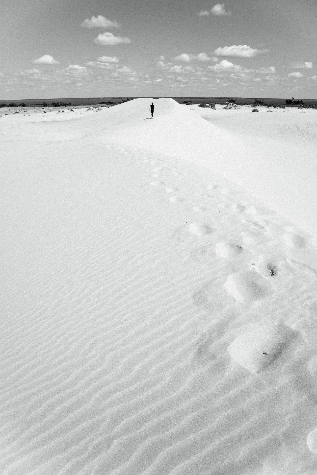 Archillect ID 400740