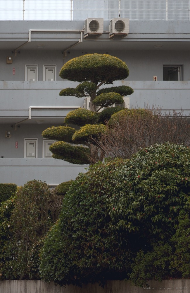 Archillect ID 400750