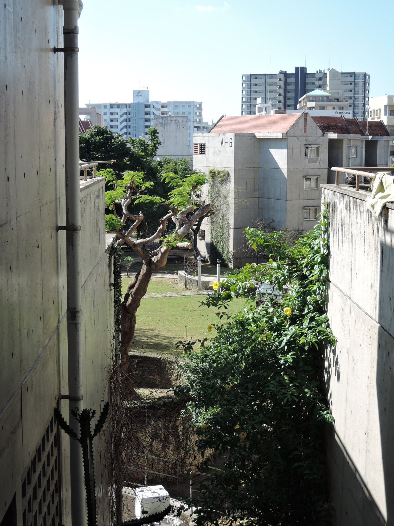 Archillect ID 400751