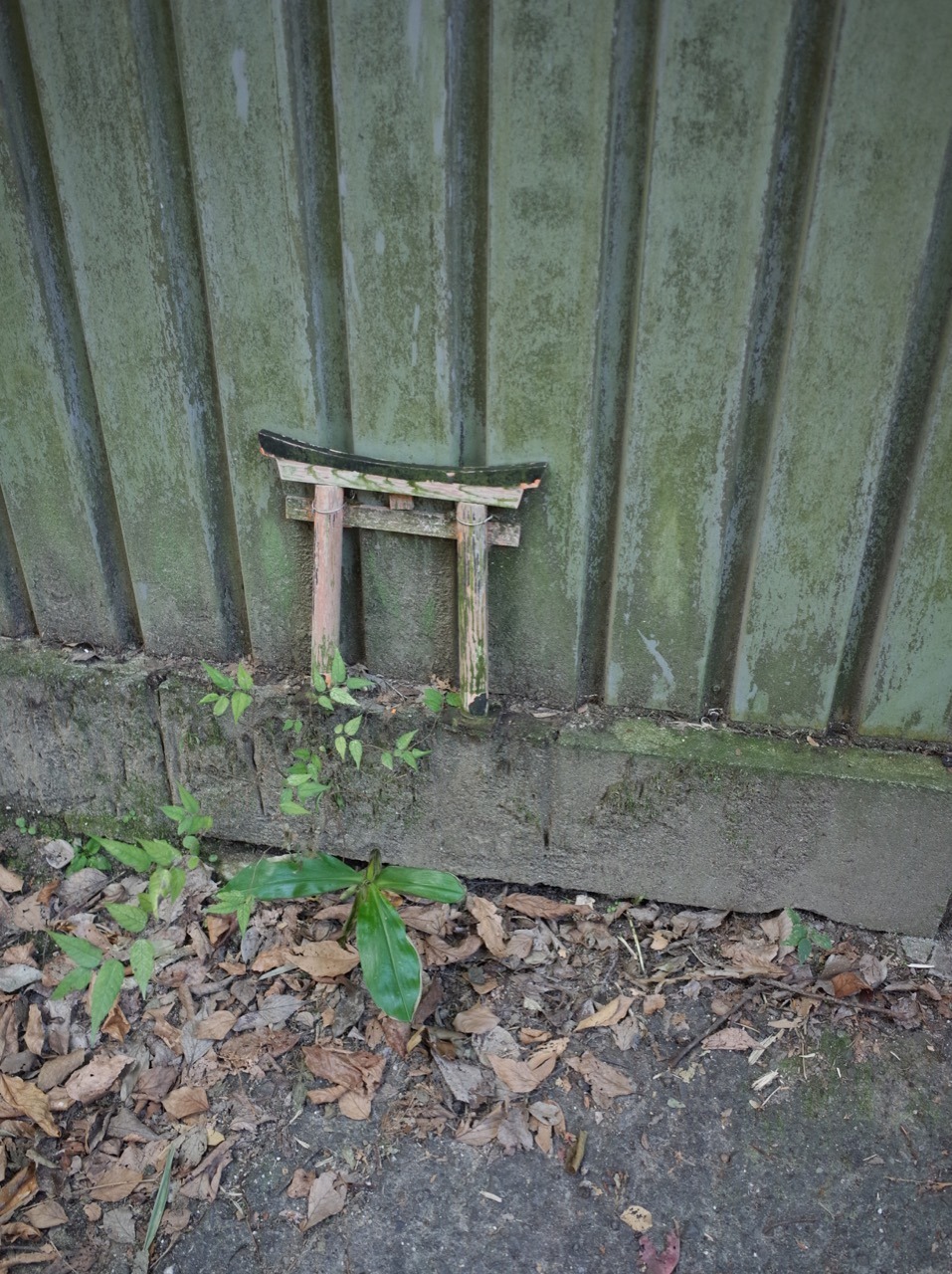 Archillect ID 400800