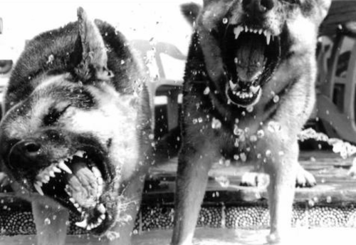 Archillect ID 400810