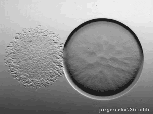 Archillect ID 400813