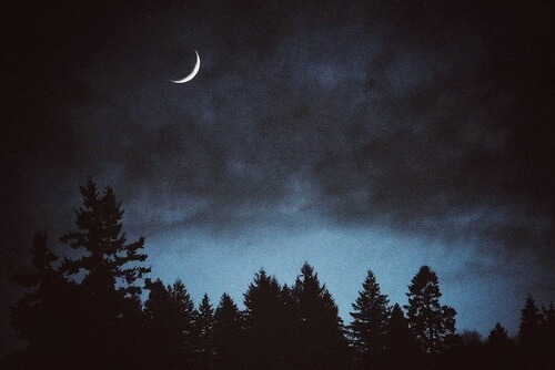 Archillect ID 400893