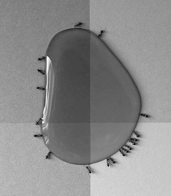 Archillect ID 400935