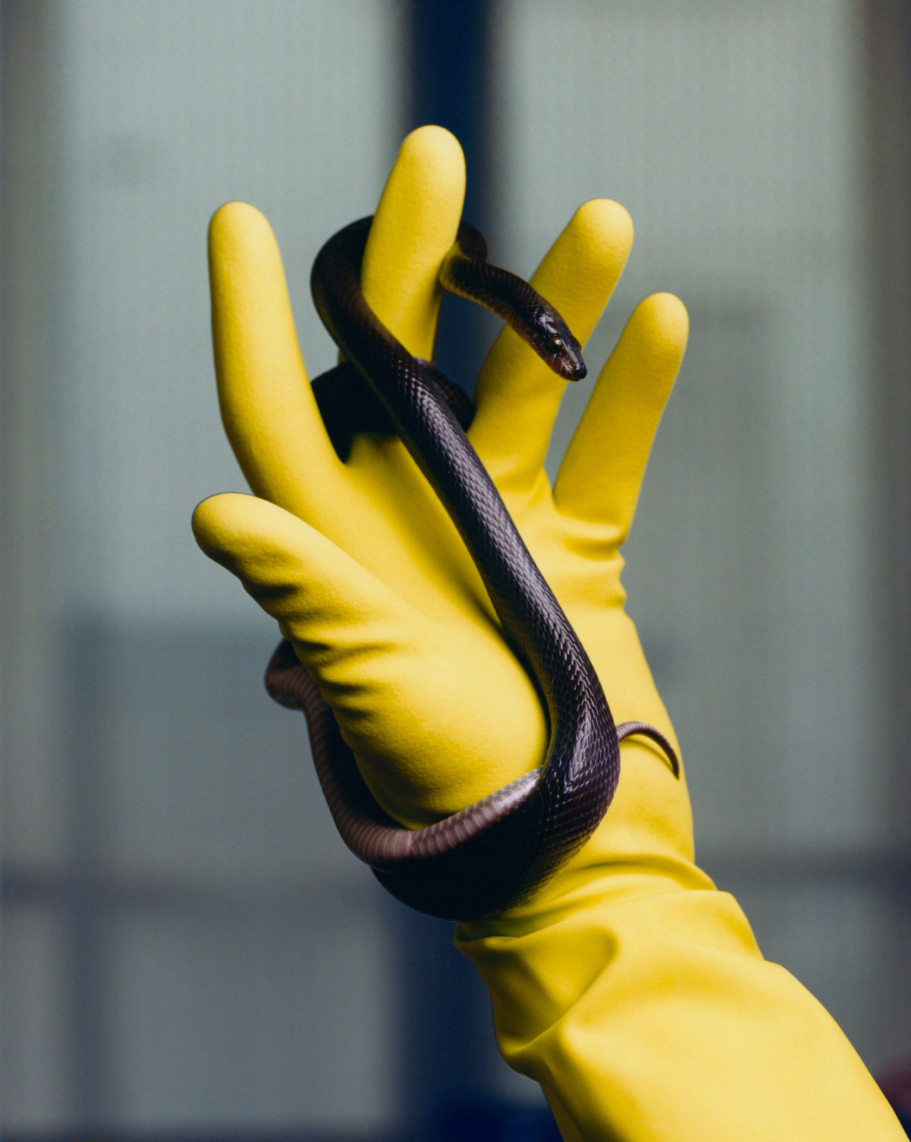 Archillect ID 400956