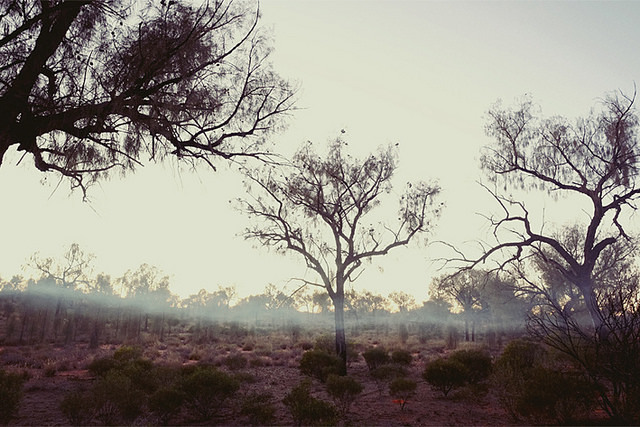 Archillect ID 400957