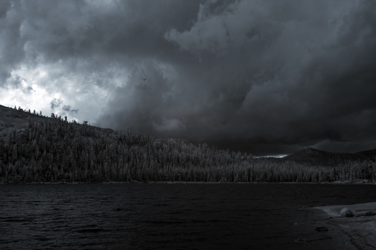 Archillect ID 401015