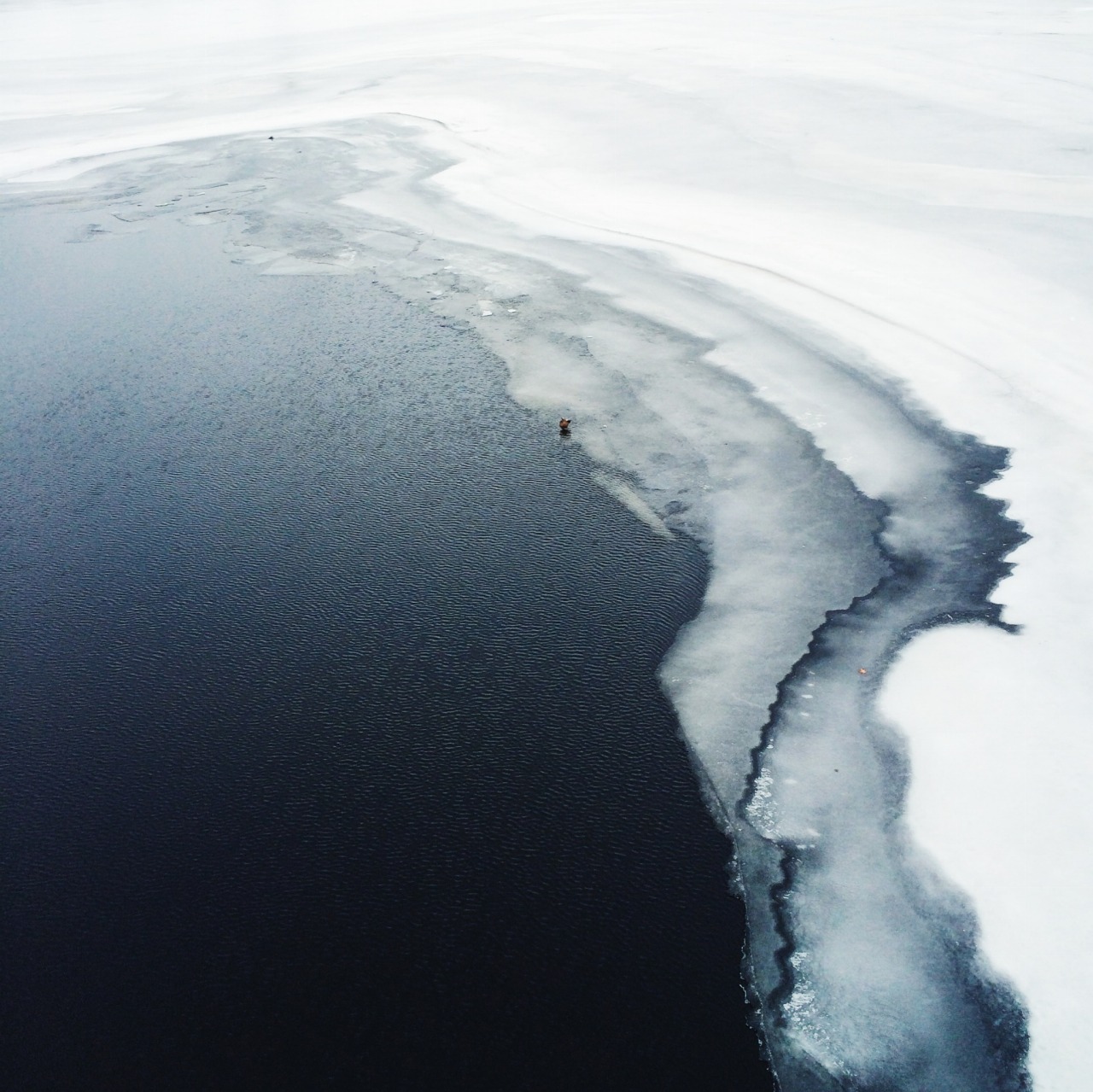 Archillect ID 401016