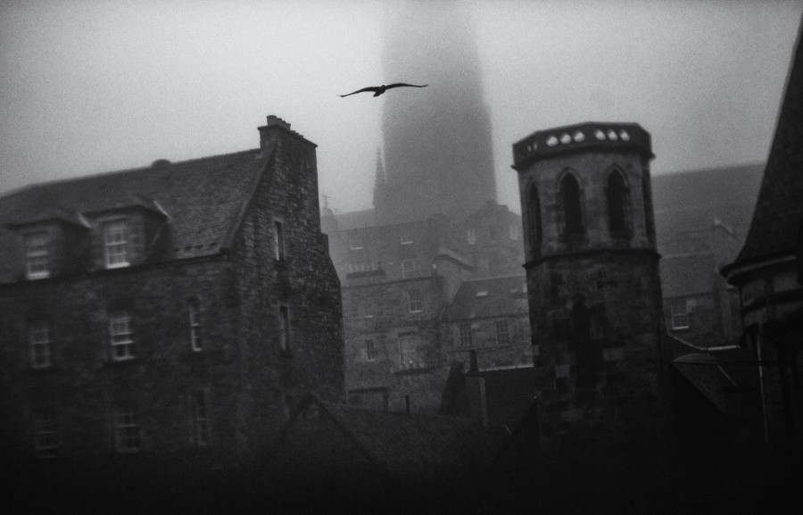 Archillect ID 401047