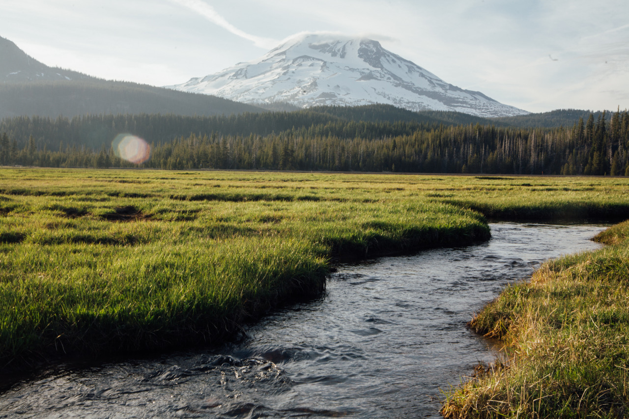 Archillect ID 401063