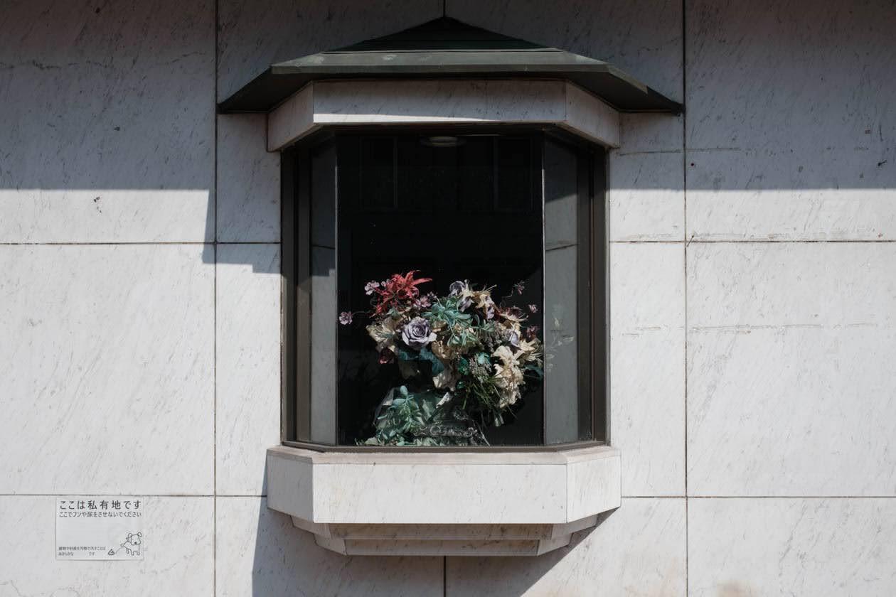 Archillect ID 401201