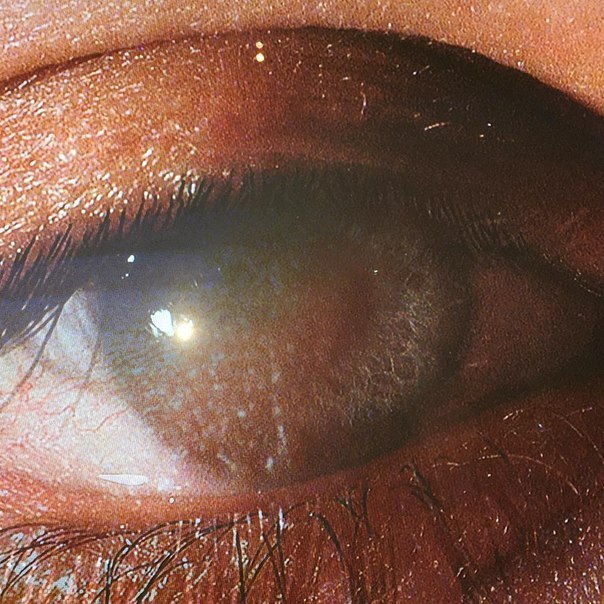 Archillect ID 401218