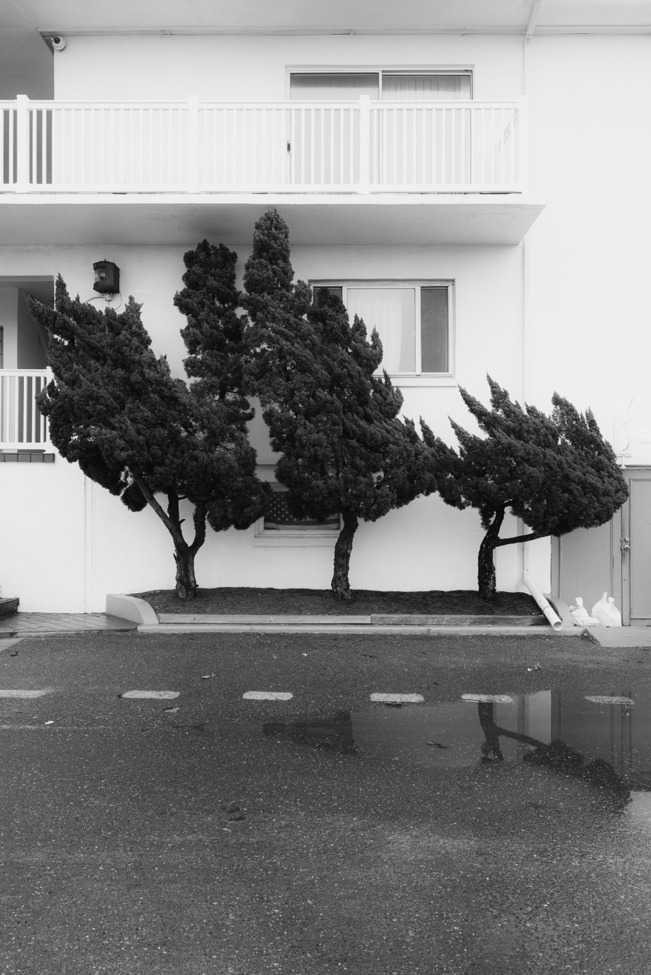 Archillect ID 401260